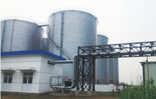 紅蜻蜓糧油工業靖江有限公司巴西基地靖江大豆加工項目